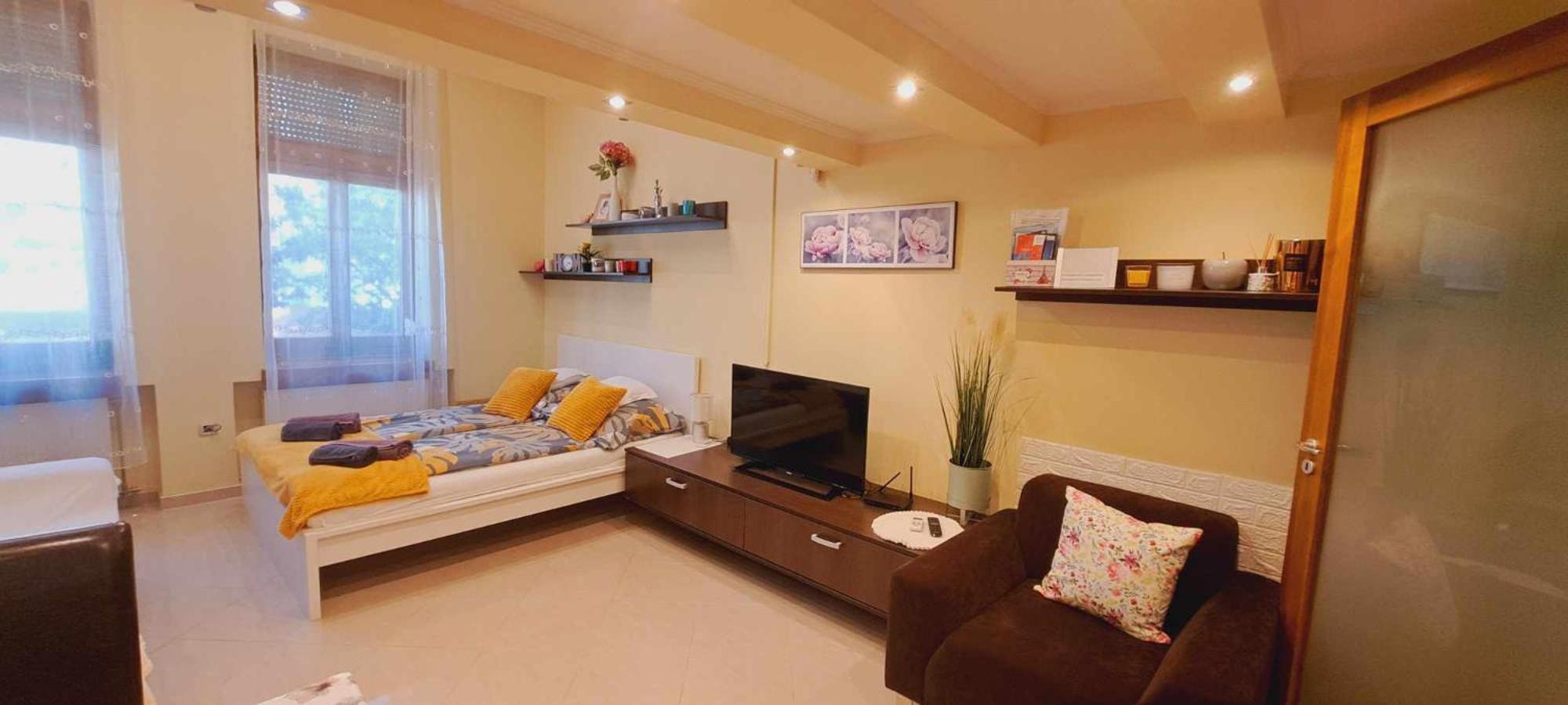 Szandi Belvarosi Apartman Segedin Dış mekan fotoğraf